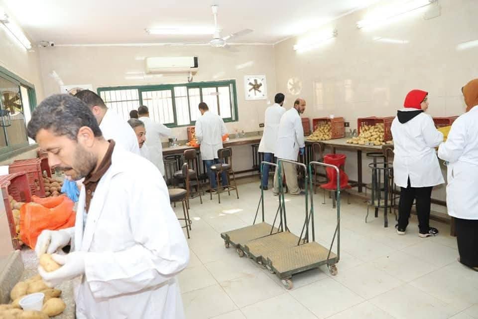 الزراعة تعلن فحص أكثر من 1.3 مليون طن بطاطس مائدة معدة للتصدير إلى الخارج