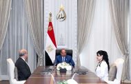 السيسي يوجه بالاستمرار في تطوير المطارات المصرية من خلال شراكات دولية