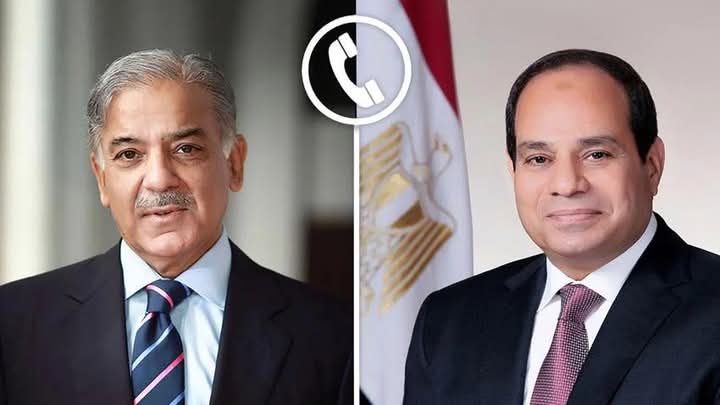 السيسي ورئيس وزراء باكستان يؤكدان أهمية تعزيز التشاور والتنسيق بين البلدين تجاه القضايا الإقليمية والدولية