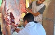 محافظة الجيزة تذبح 2202 أضحية بالمجان داخل المجازر الرسمية
