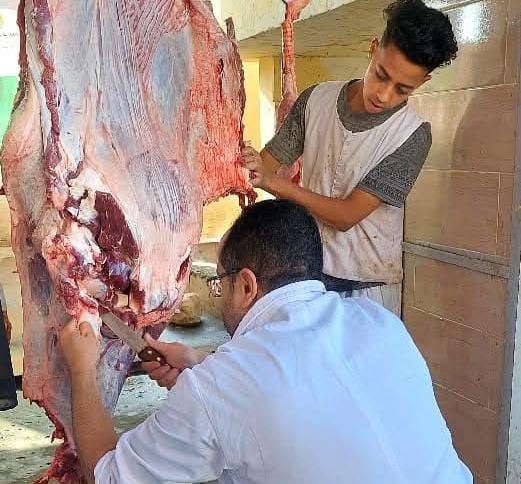 محافظة الجيزة تذبح 2202 أضحية بالمجان داخل المجازر الرسمية