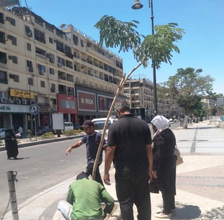 تكثيف حملات النظافة والتجميل لرفع كفاءة أسوان السياحية