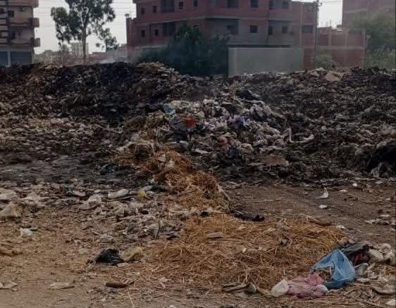محافظة الشرقية ترفع 1050 طن مخلفات من طريق مصرف أكوة