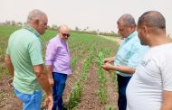 محافظ أسيوط يتابع الزراعة ميدانيًا ويؤكد دعم الفلاحين المستدام