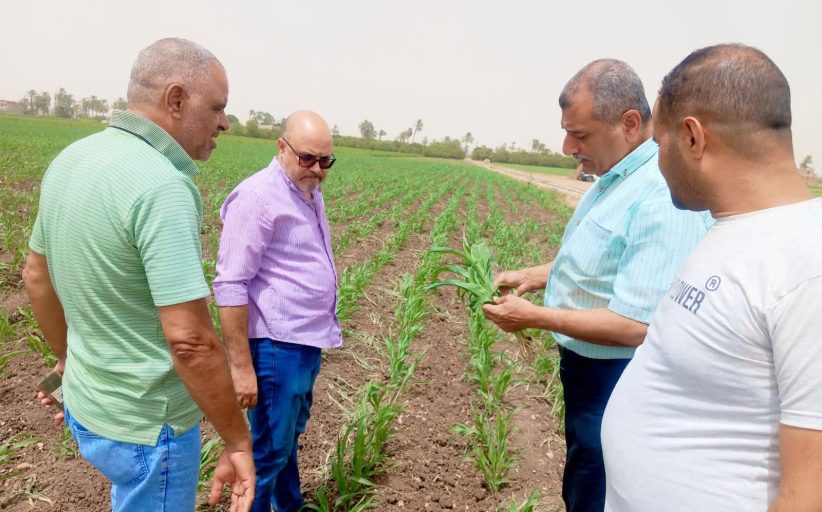 محافظ أسيوط يتابع الزراعة ميدانيًا ويؤكد دعم الفلاحين المستدام