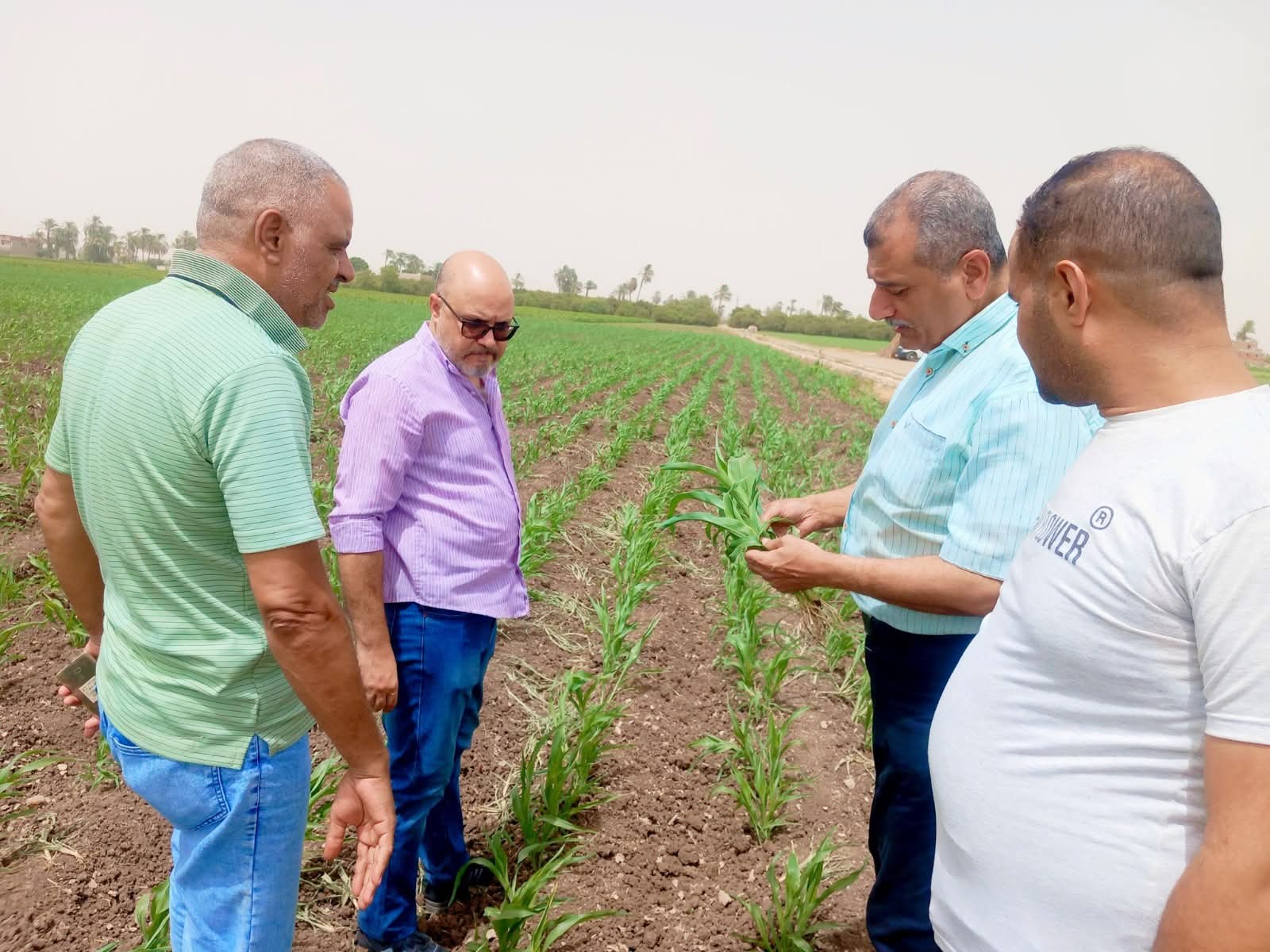 محافظ أسيوط يتابع الزراعة ميدانيًا ويؤكد دعم الفلاحين المستدام