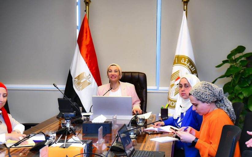 فؤاد تناقش مع وزير البيئة النرويجي آخر مستجدات التفاوض للحد من التلوث البلاستيكي