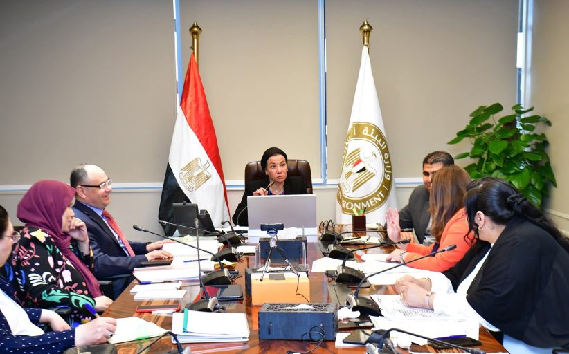 فؤاد: تنظيم دورات تدريبية لرفع القدرات الوطنية والحصول على شهادات الكربون