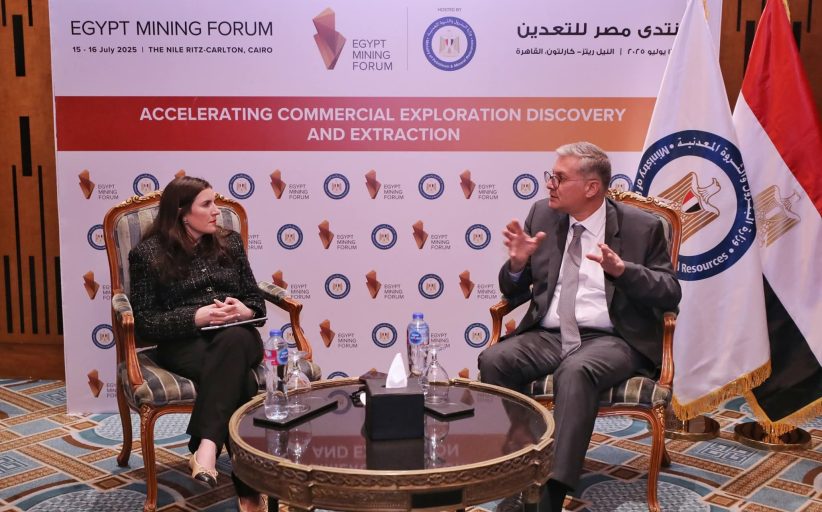 وزير البترول يلتقي المدير التنفيذي لشركة 