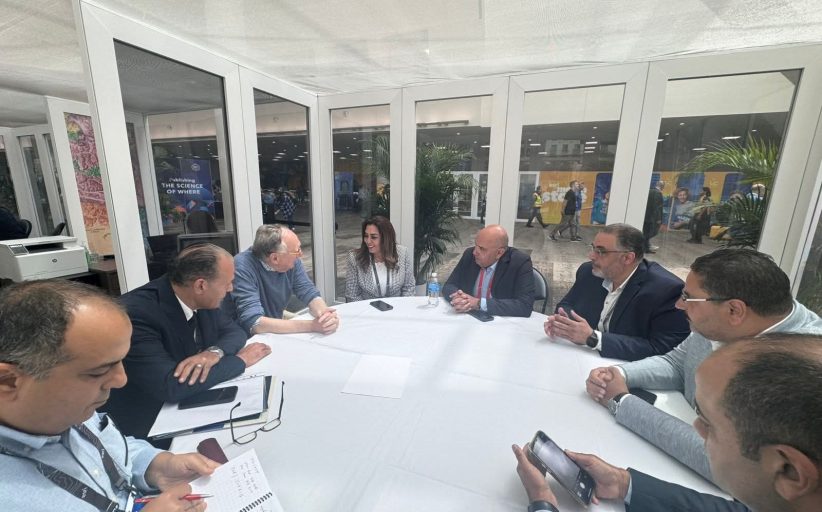 وزيرة التنمية تبحث مع رئيس شركة 