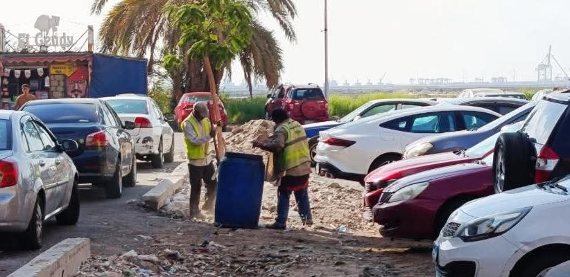 تكثيف جهود النظافة والتجميل بشارع الجامعة في بورفؤاد