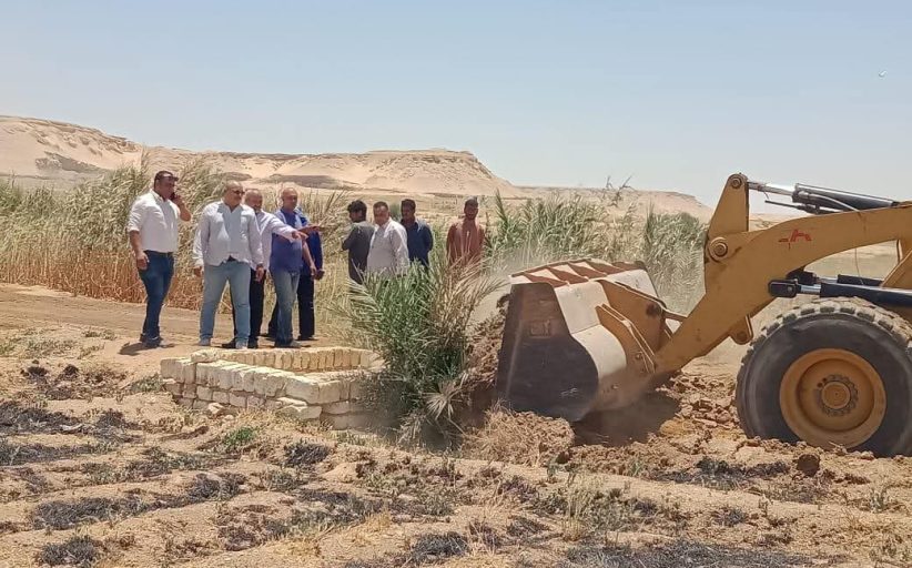 إزالة 581 حالة تعدٍ على الأراضي الزراعية وأملاك الدولة بالمنيا