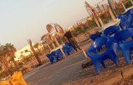 الطب البيطري ببورسعيد يواصل تطعيم الكلاب لحماية المصطافين من السعار