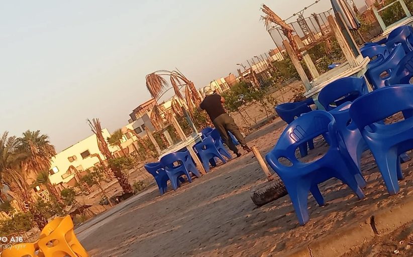 الطب البيطري ببورسعيد يواصل تطعيم الكلاب لحماية المصطافين من السعار