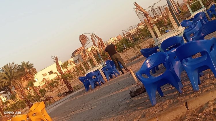 الطب البيطري ببورسعيد يواصل تطعيم الكلاب لحماية المصطافين من السعار