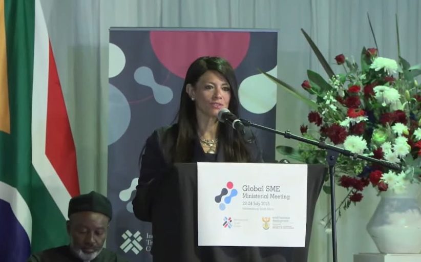 وزيرة التخطيط تُشارك في الجلسة الافتتاحية للمشروعات الصغيرة والمتوسطة بجنوب أفريقيا