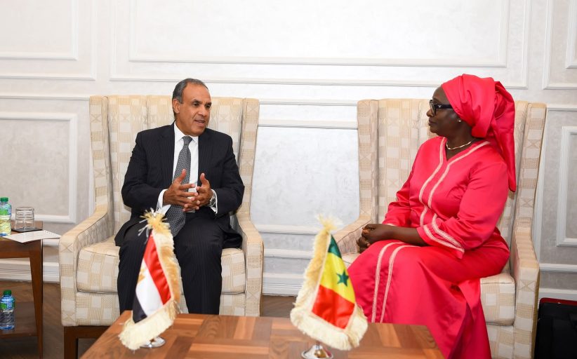 وزير الخارجية يلتقي وزيرة التكامل الأفريقي والشئون السنغالية