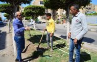 لتحقيق التنمية المستدامة 2030.. مدينة بورفؤاد توسع الرقعة الخضراء