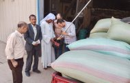 محافظ المنيا يعلن توريد 516 ألف طن قمح منذ بداية الموسم