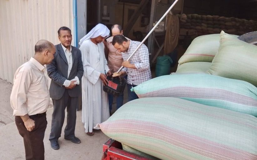 محافظ المنيا يعلن توريد 516 ألف طن قمح منذ بداية الموسم