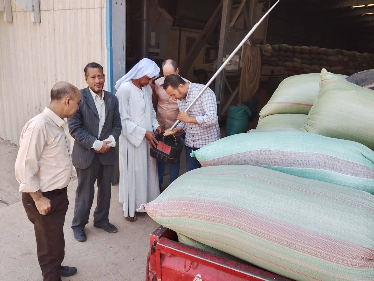 محافظ المنيا يعلن توريد 516 ألف طن قمح منذ بداية الموسم
