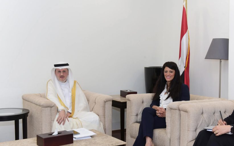 المشاط تستقبل الرئيس التنفيذي لبحث سبل الشراكة الاستراتيجية