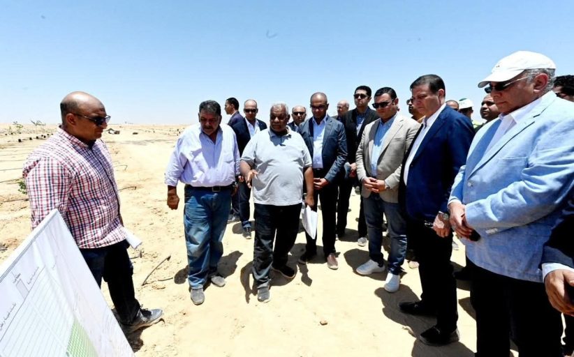 الشربيني وفاروق يتفقدان مشروع إقامة محطة التجارب البحثية لتحلية مياه البحر