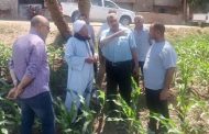 أسيوط تواصل دعم صغار المزارعين ومتابعة المحاصيل الصيفية لتحقيق الأمن الغذائي
