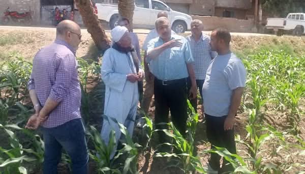 أسيوط تواصل دعم صغار المزارعين ومتابعة المحاصيل الصيفية لتحقيق الأمن الغذائي