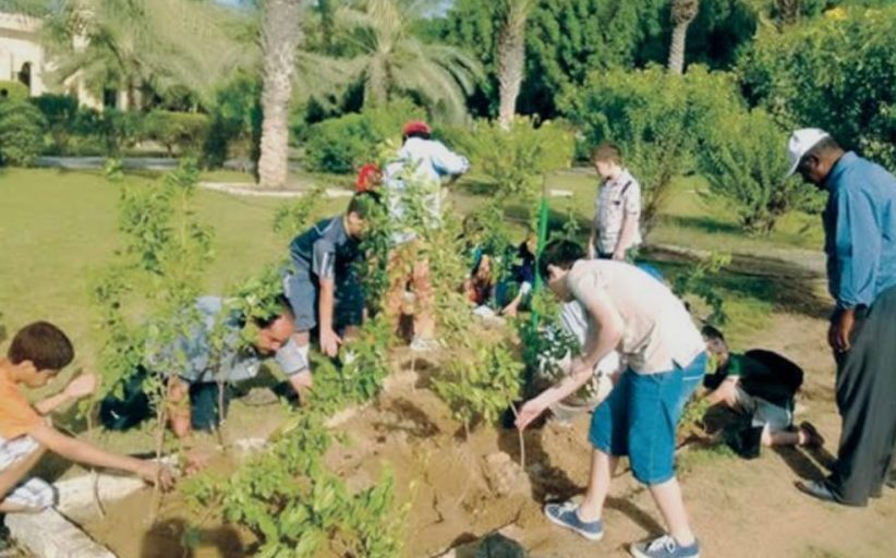 التشجير في مصر.. مبادرات طموحة لمستقبل تحت شعار 