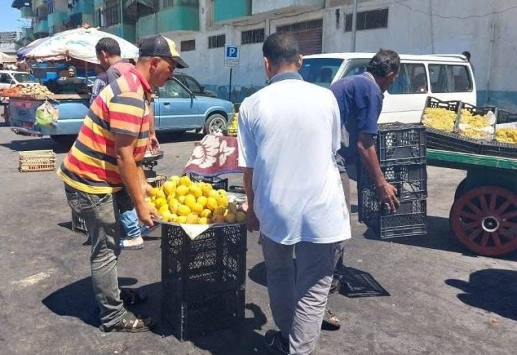 محافظ بورسعيد يوجه بإزالة الأسواق العشوائية وتحسين مستوى النظافة