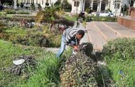 رئيس مدينة بورفؤاد يتابع أعمال صيانة المسطحات الخضراء بميدان 6 أكتوبر