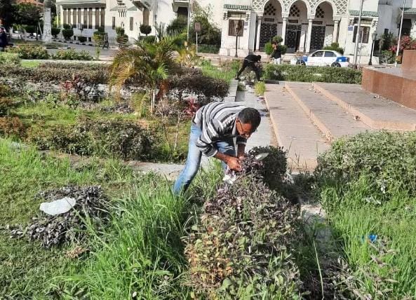 رئيس مدينة بورفؤاد يتابع أعمال صيانة المسطحات الخضراء بميدان 6 أكتوبر