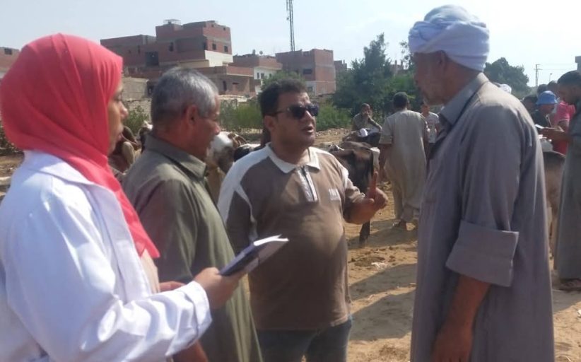 محافظة السويس تكثف جهودها على الأسواق لمتابعة الحالة الصحية للحيوانات