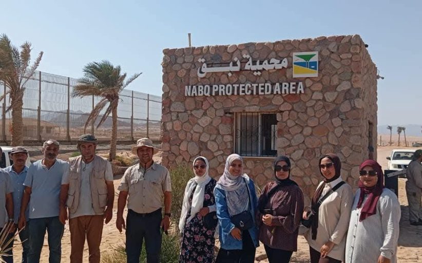  البيئة تنفذ حملة للتخلص من المخلفات والتوعية بمحمية نبق الطبيعية بجنوب سيناء