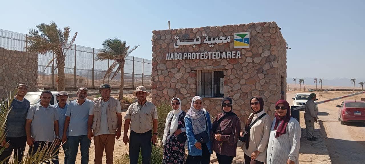  البيئة تنفذ حملة للتخلص من المخلفات والتوعية بمحمية نبق الطبيعية بجنوب سيناء