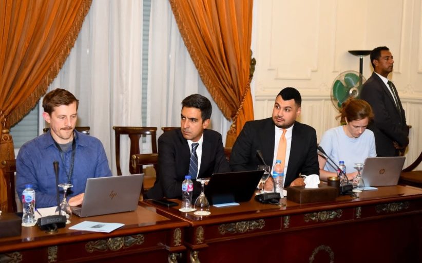 وزير الخارجية يستعرض محددات الموقف المصري من التطورات الإقليمية