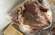 حملات بيطرية بأسيوط تضبط طن لحوم فاسدة وتتحفظ على أربعة