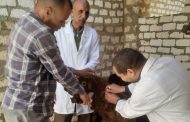 المنيا تنجح في تحصين 181 ألف رأس ماشية ضد الأمراض الوبائية لدعم الثروة الحيوانية