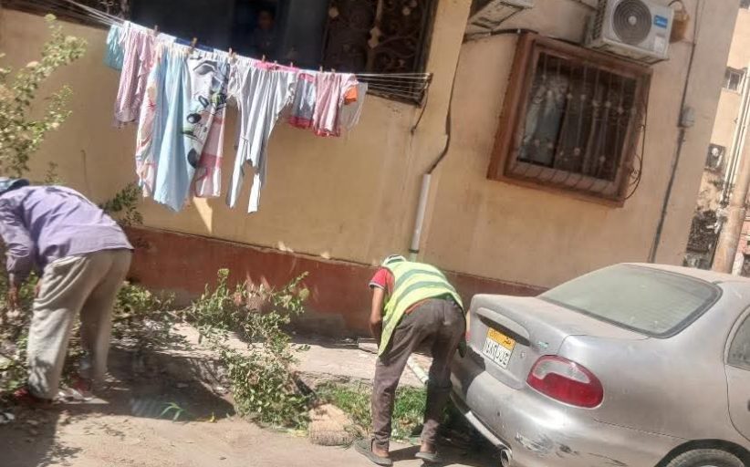 استمرار جهود رفع كفاءة منظومة النظافة العامة بمساكن الجزيرة في مدينة بورفؤاد