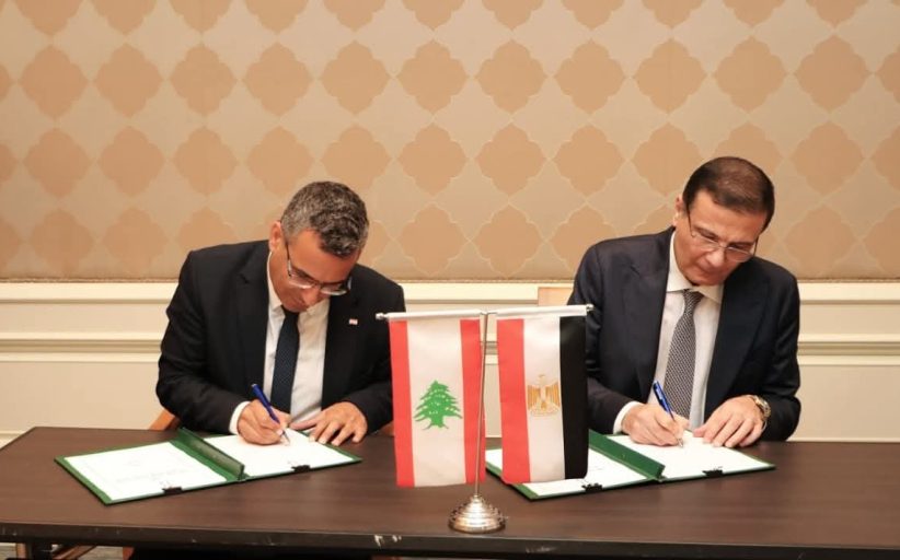 وزيرا الزراعة يختتمان أعمال الدورة الخامسة للجنة الفنية المشتركة بالقاهرة