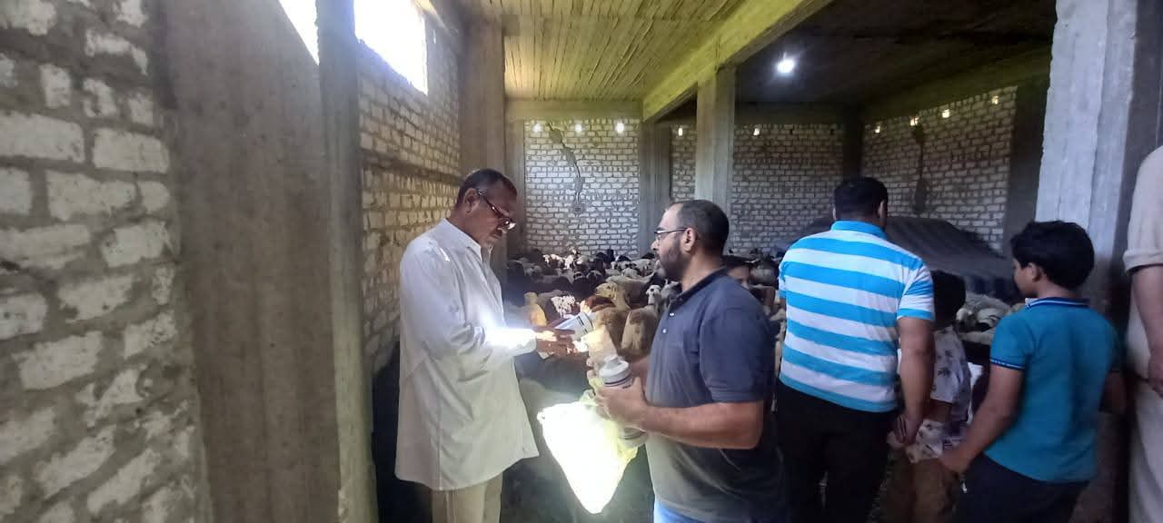أسيوط تطلق باب أمل 3 لتوزيع 126 رأس أغنام ودعم 63 أسرة