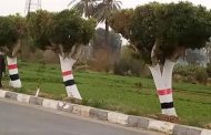 رئيس مدينة بورفؤاد يتابع جهود رفع المخلفات وتحسين منظومة النظافة بمساكن الفيروز