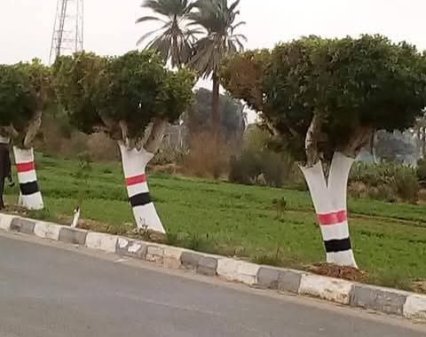 رئيس مدينة بورفؤاد يتابع جهود رفع المخلفات وتحسين منظومة النظافة بمساكن الفيروز