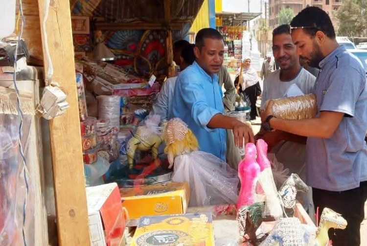 حملات مكبرة لضبط الأسواق وحماية المستهلك في أسوان