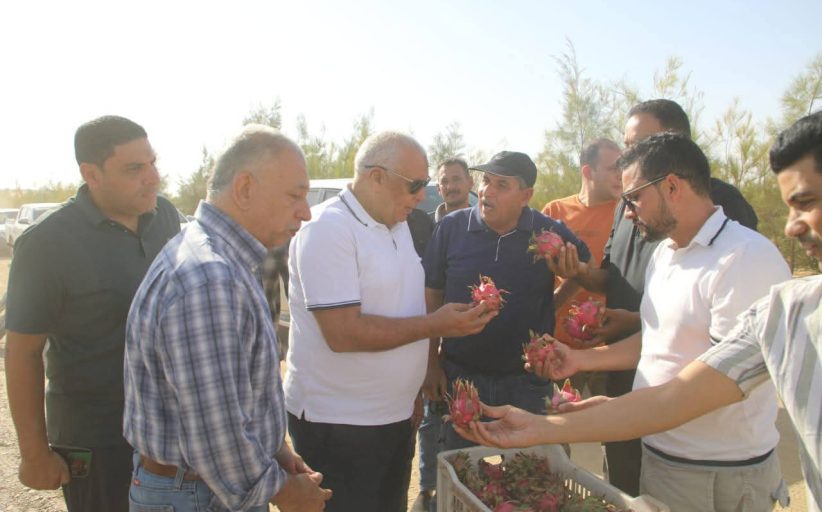 محافظ الوادي الجديد يتابع تجربة زراعة الدراجون فروت بسهل بركة