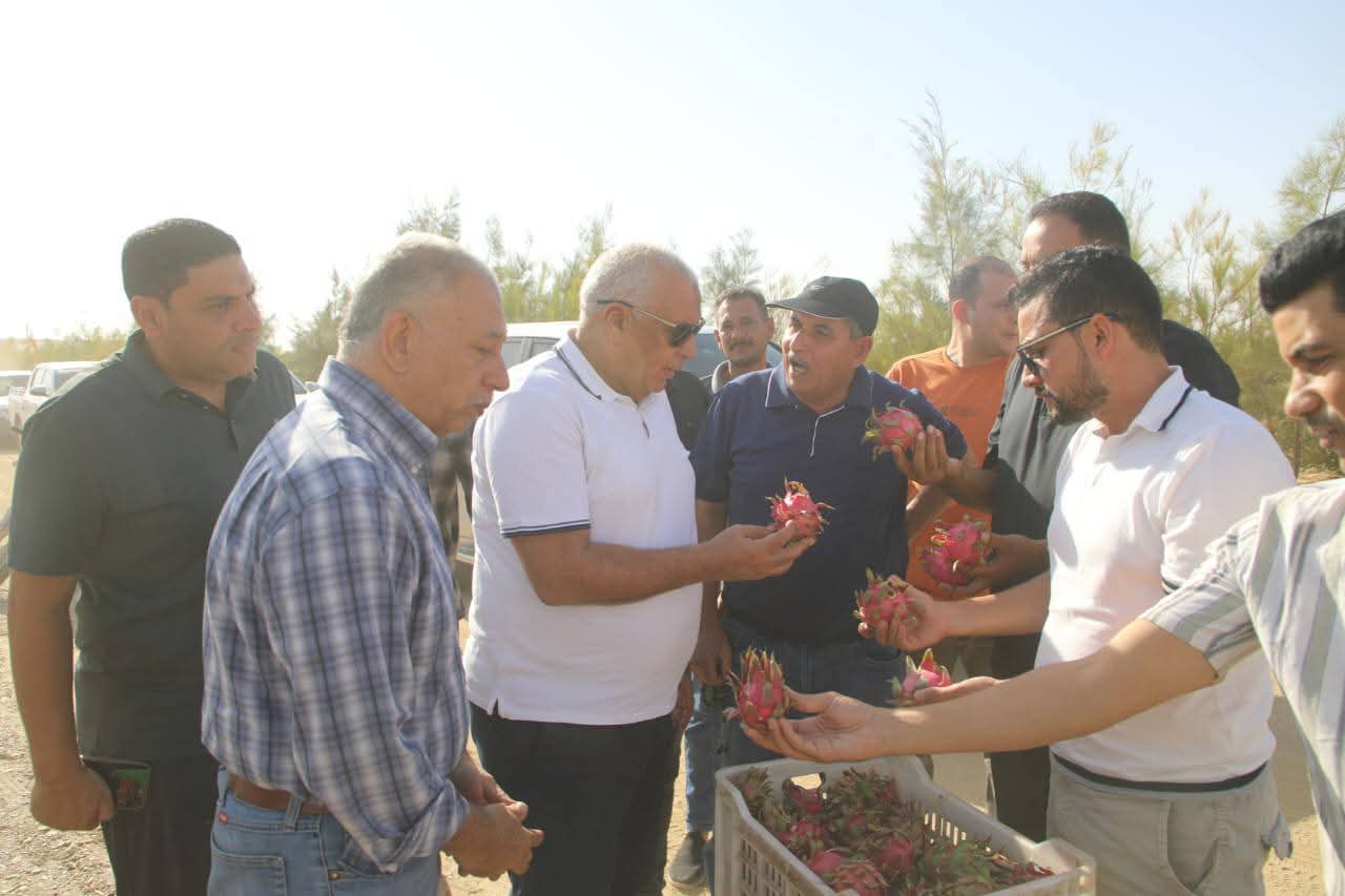 محافظ الوادي الجديد يتابع تجربة زراعة الدراجون فروت بسهل بركة