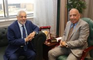 مصر والإمارات يبحثان زيادة التوسع في محطات تخزين الطاقة