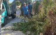 رئيس مدينة بورفؤاد يتابع جهود رفع كفاءة المسطحات الخضراء بشارع القدس الشريف