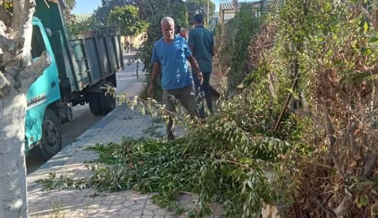 رئيس مدينة بورفؤاد يتابع جهود رفع كفاءة المسطحات الخضراء بشارع القدس الشريف